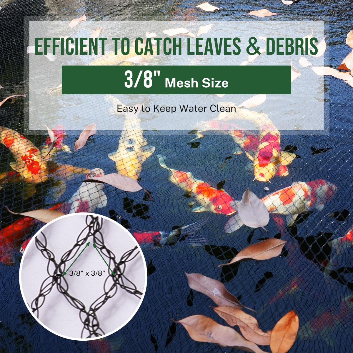 Alloxity predator protection net keeps blue herons and raccoons at bay from koi