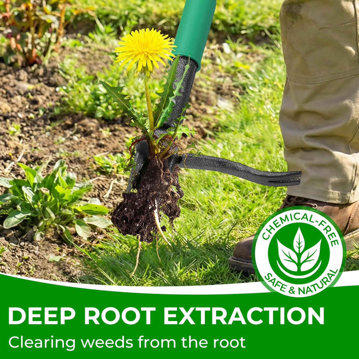 Sturdy four-claw head grips roots deep into damp soil