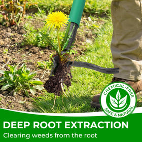 Sturdy four-claw head grips roots deep into damp soil
