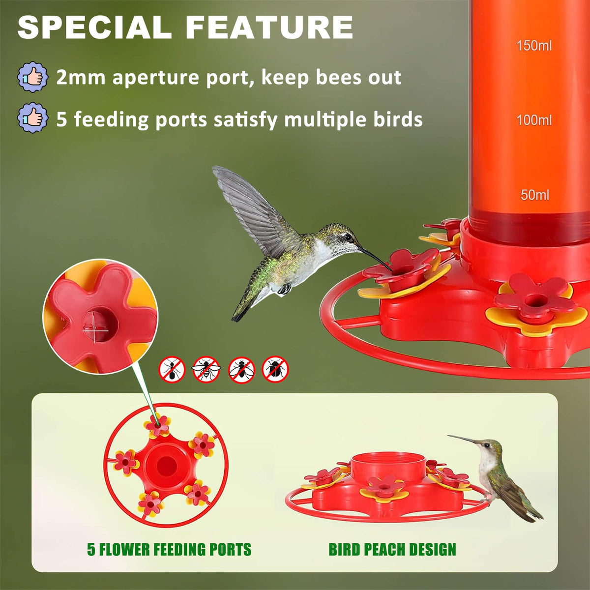 Allslotx feeder features ant moat and bee-proof ports for nectar protection