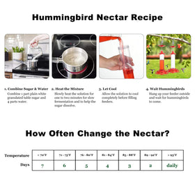 Allslotx hummingbird feeder makes a thoughtful gift for bird lovers