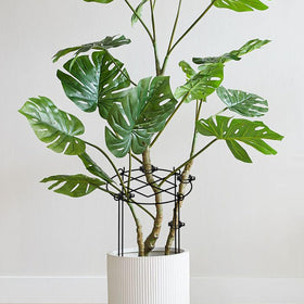 ALLTOOALL grow through design supports stems with better airflow