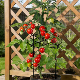 ALLTOOALL versatile garden uses for peonies roses tomatoes and more