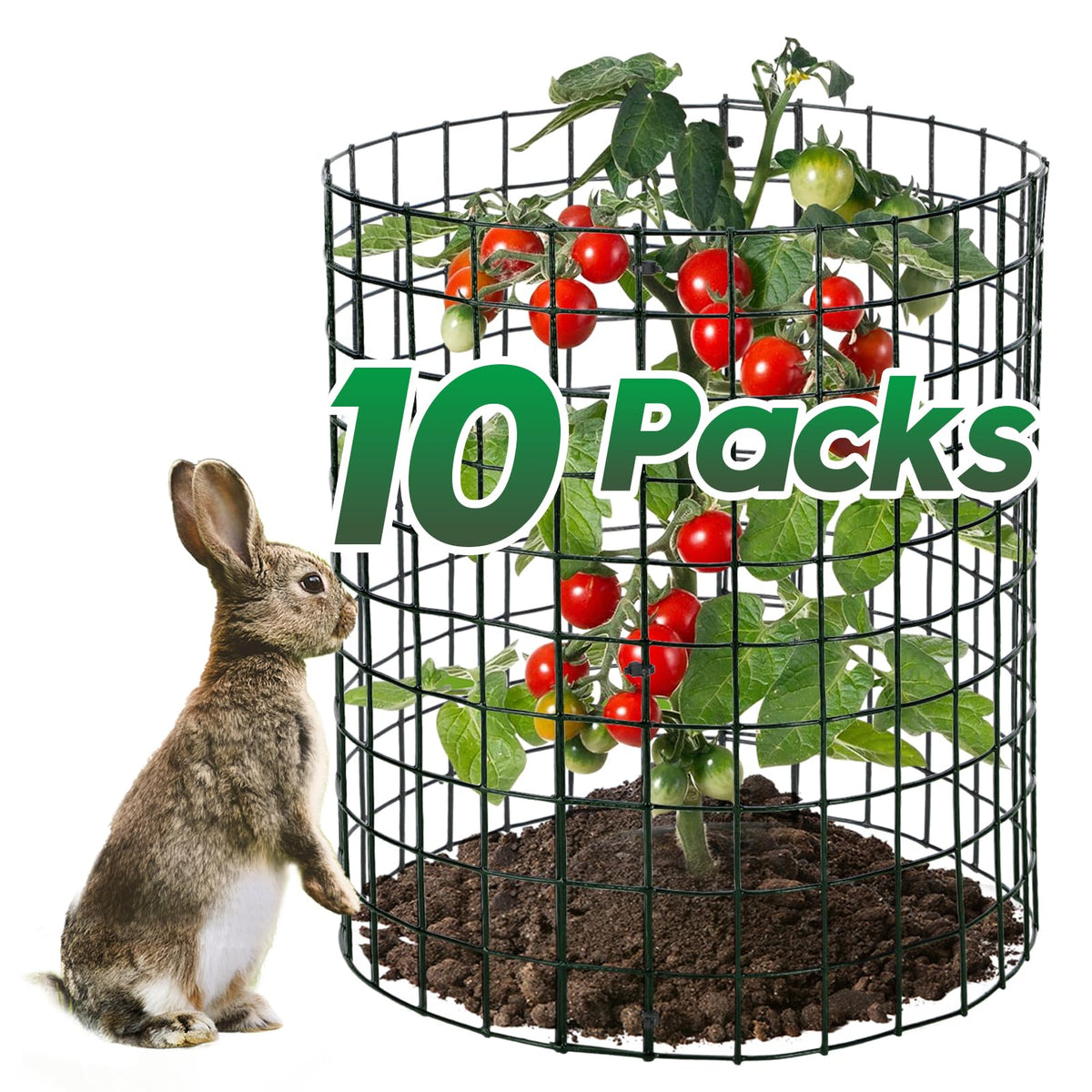 Alphatool bunny barricade assembly protects young plants in a garden.