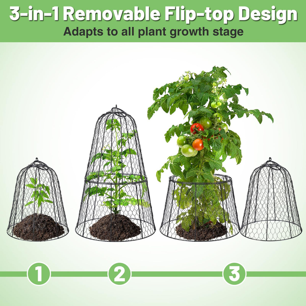 Alphatool chicken-wire plant cover with ground spikes stays stable