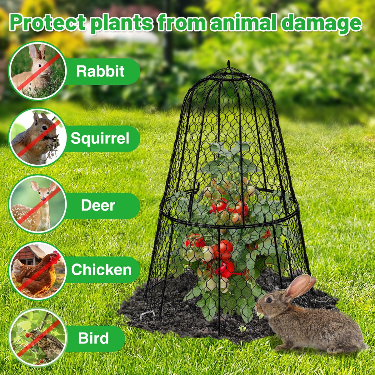 Alphatool rustproof coating on metal cloche withstands outdoor weather