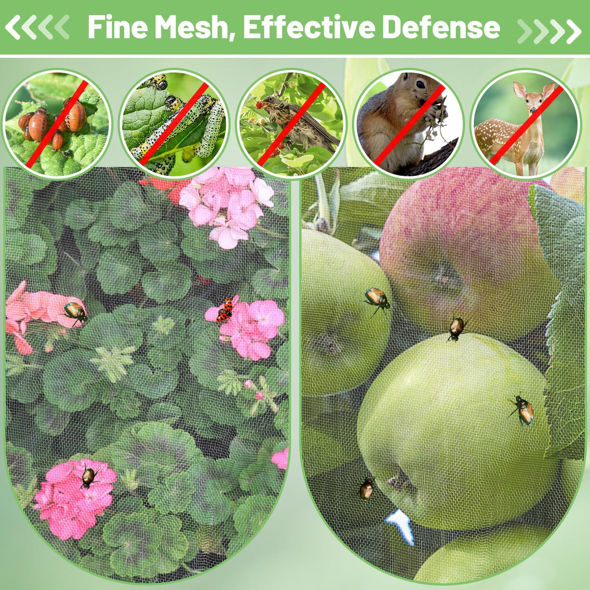 Alphatool raised-bed coverage keeps vegetables safe and accessible.