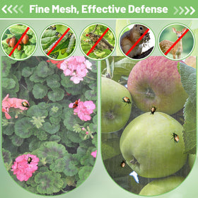 Alphatool raised-bed coverage keeps vegetables safe and accessible.