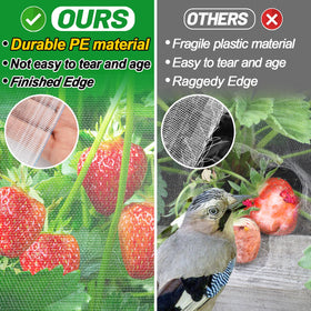 Alphatool raised-bed protection netting keeps flowers safe from birds.