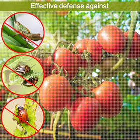 Alphatool raised-bed protective netting shields crops outdoors.