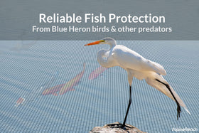 Net floats above the waterline, keeping koi safe with full movement.