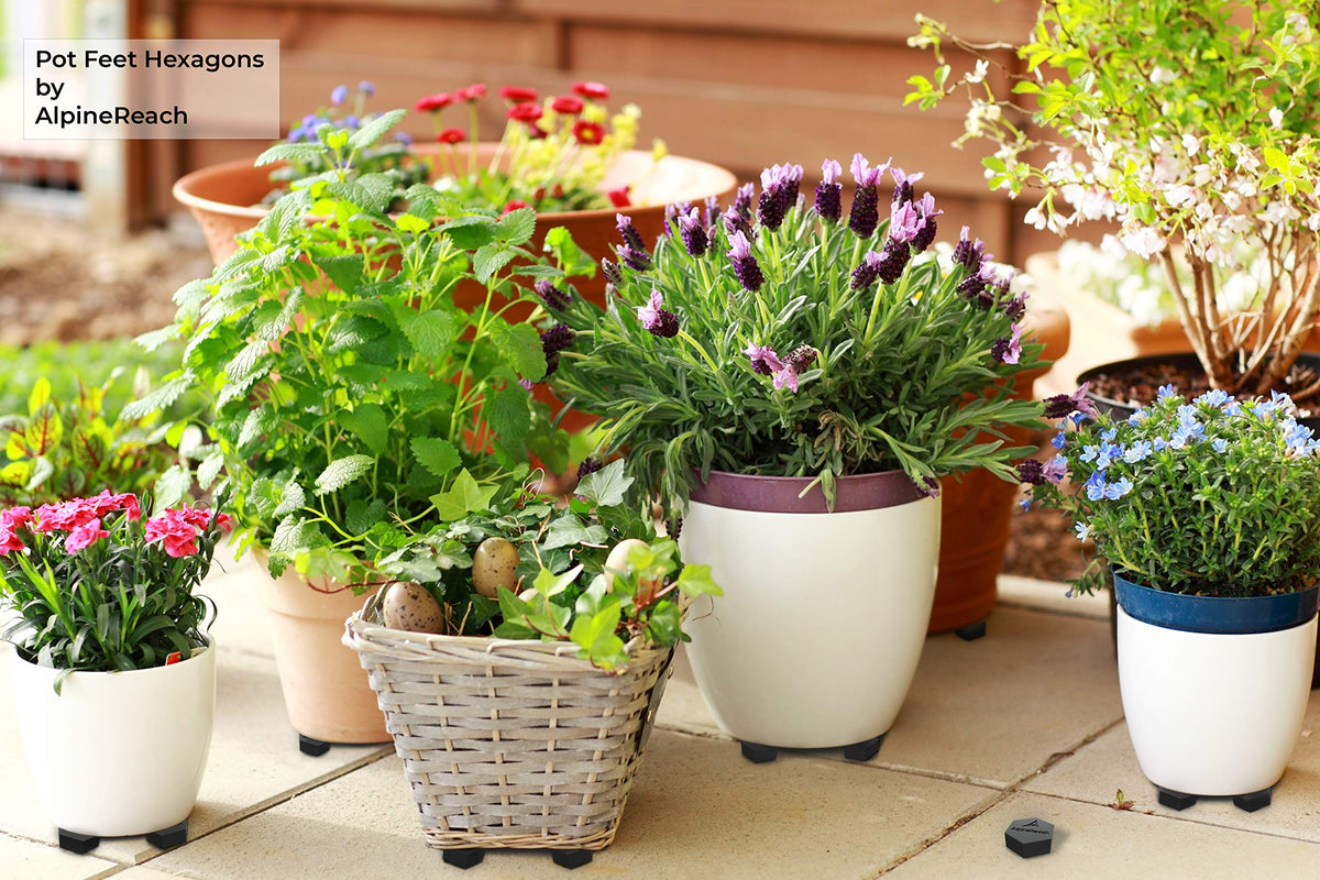 AlpineReach heavy-duty rubber feet support heavy pots and endure weather