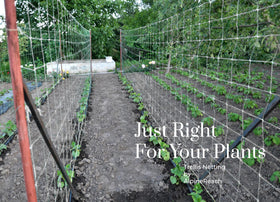 AlpineReach high-yield garden setup helps vines spread with netting support.