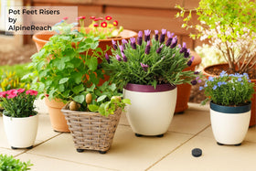 AlpineReach outdoor planter elevated setup enabling better drainage and cleaning access