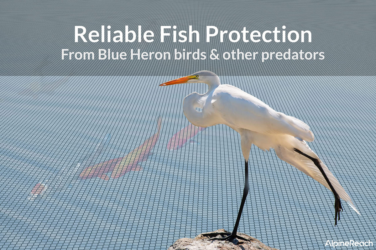 AlpineReach protective net keeps koi safe from blue heron and other predators.