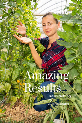 AlpineReach trellis netting supports tomatoes and peas for steadier growth.