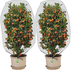 Alpurple barrier netting with drawstring protects plants from pests and birds.