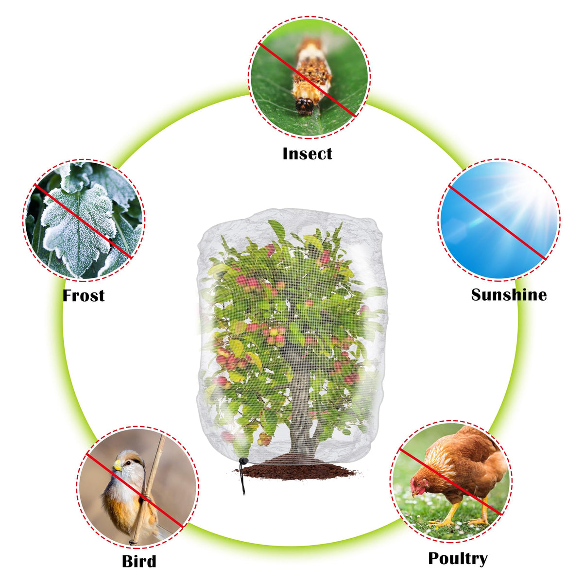 Alpurple fruit-tree protection netting guarding against pests.