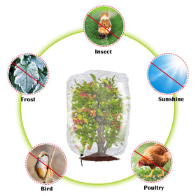 Alpurple fruit-tree protection netting guarding against pests.