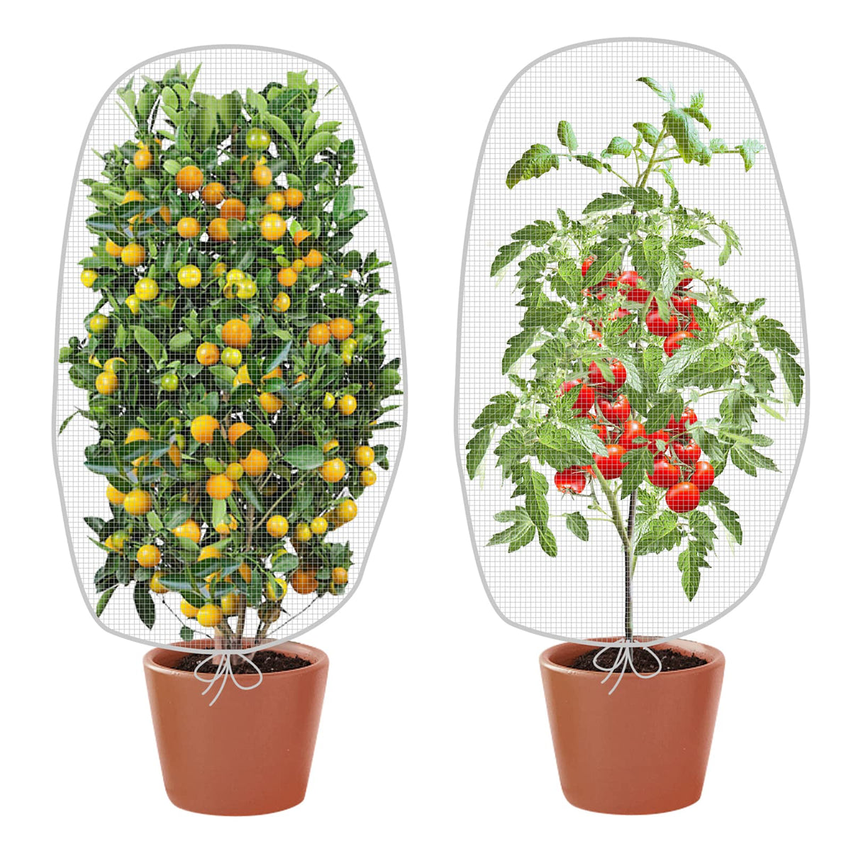Alpurple garden netting mesh barrier protects outdoor plants from pests.