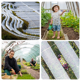 Alpurple tomato grow box netting keeping crops safe from pests.