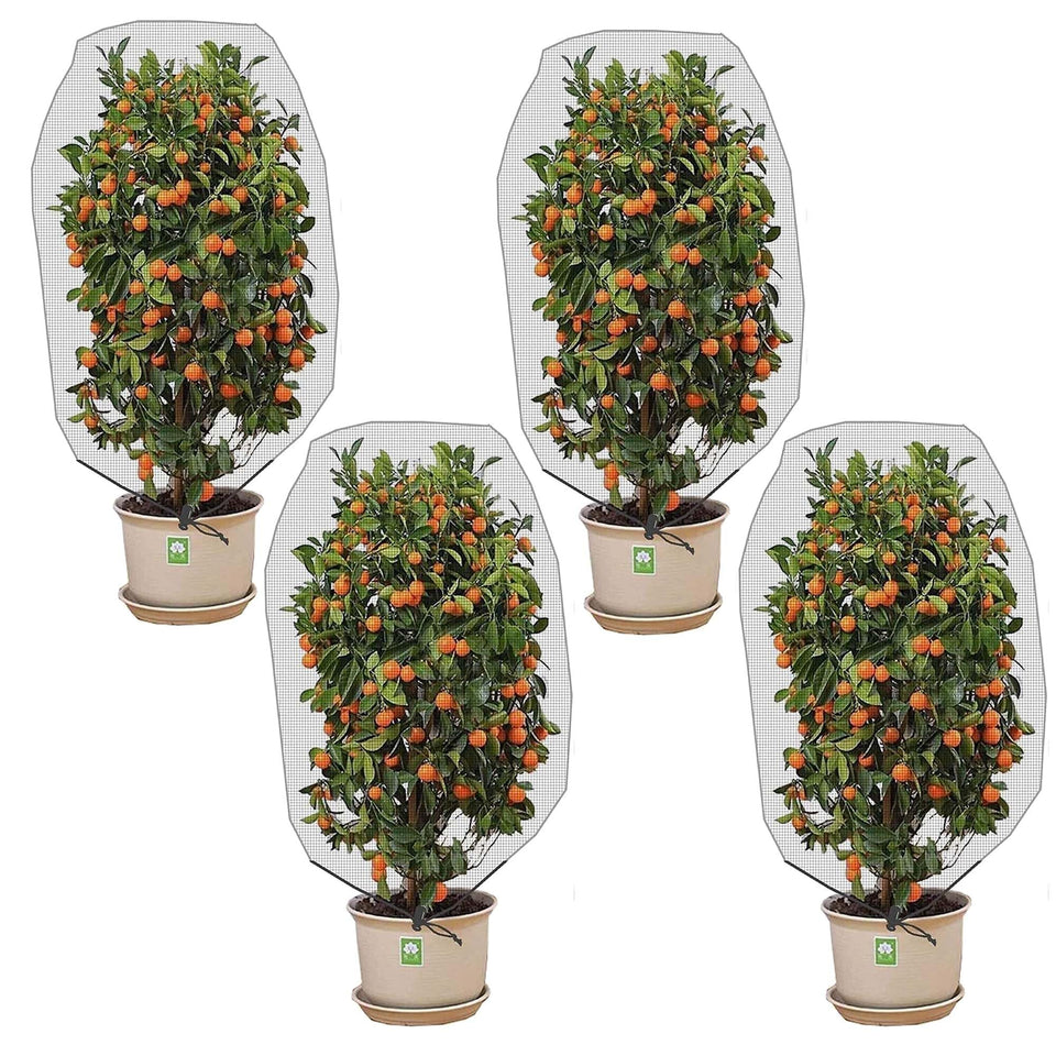Alpurple tree net with drawstring protecting fruit trees from insects.