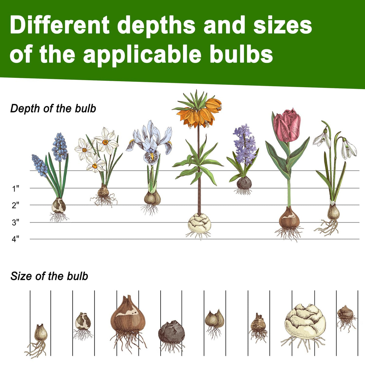 Altdorff five-in-one lawn plugger highlights versatile planting options