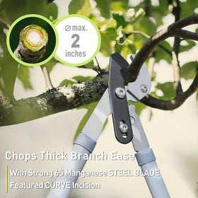 Altdorff 23-inch hedge shears for clean hedge shaping