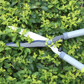 Altdorff blades made of 65 manganese steel stay sharp longer