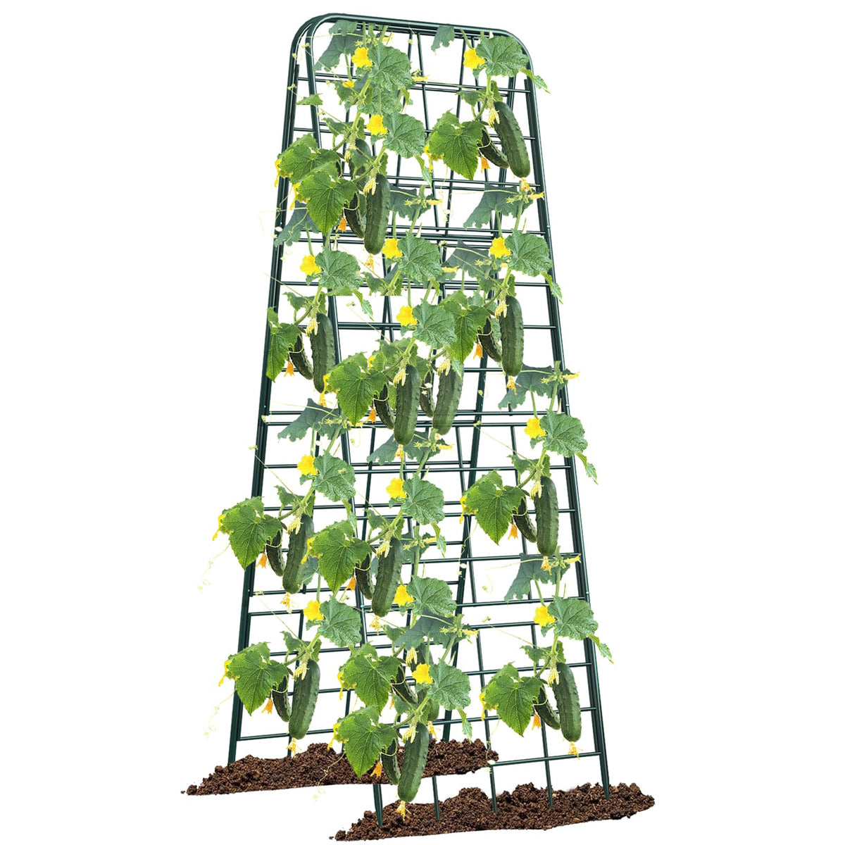 Alxcellion heavy-duty trellis with adjustable height supports tomatoes and cucumbers in beds.