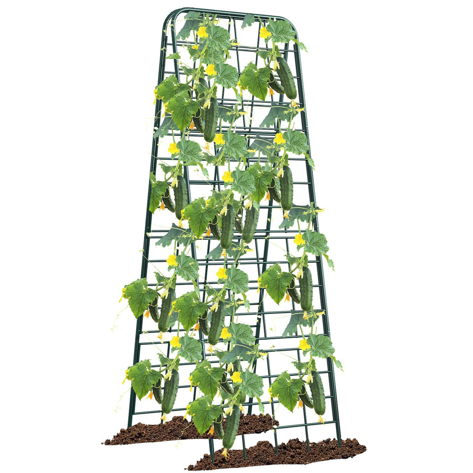 Alxcellion heavy-duty trellis with adjustable height supports tomatoes and cucumbers in beds.