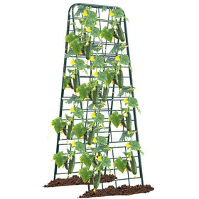 Alxcellion heavy-duty trellis in full-frame design supports climbing plants.