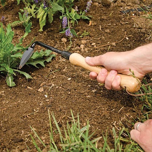A.M. Leonard Cape Cod Weeder full tool demonstrates traditional design and ergonomic balance.
