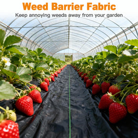 AMAGABELI driveway ground cover underlayment for weed control