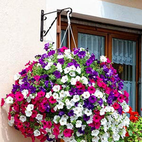 AMAGABELI Garden & Home 4-pack packaging as a thoughtful gift for gardeners.