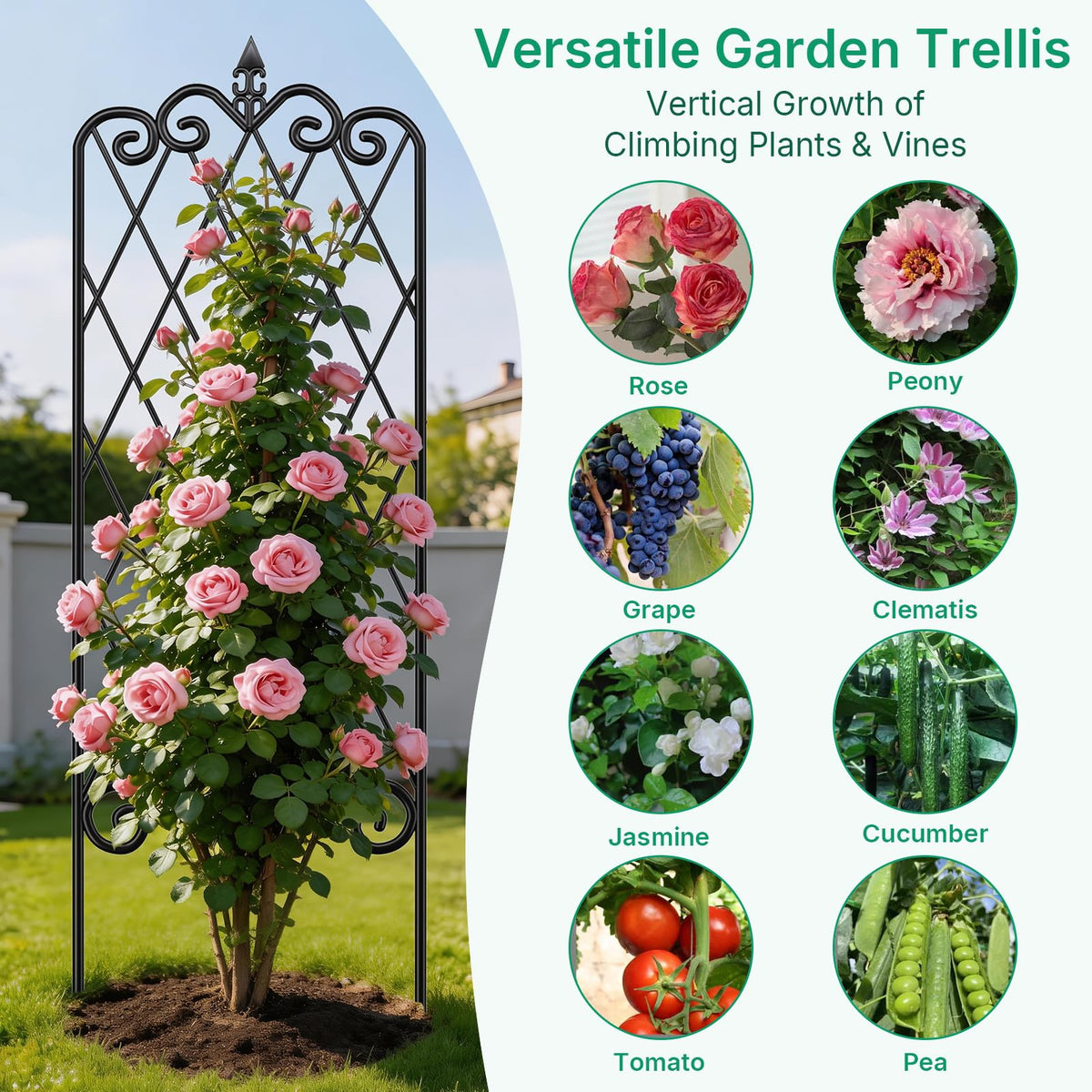 AMAGABELI Garden Trellis ideal for enhancing potted vines.