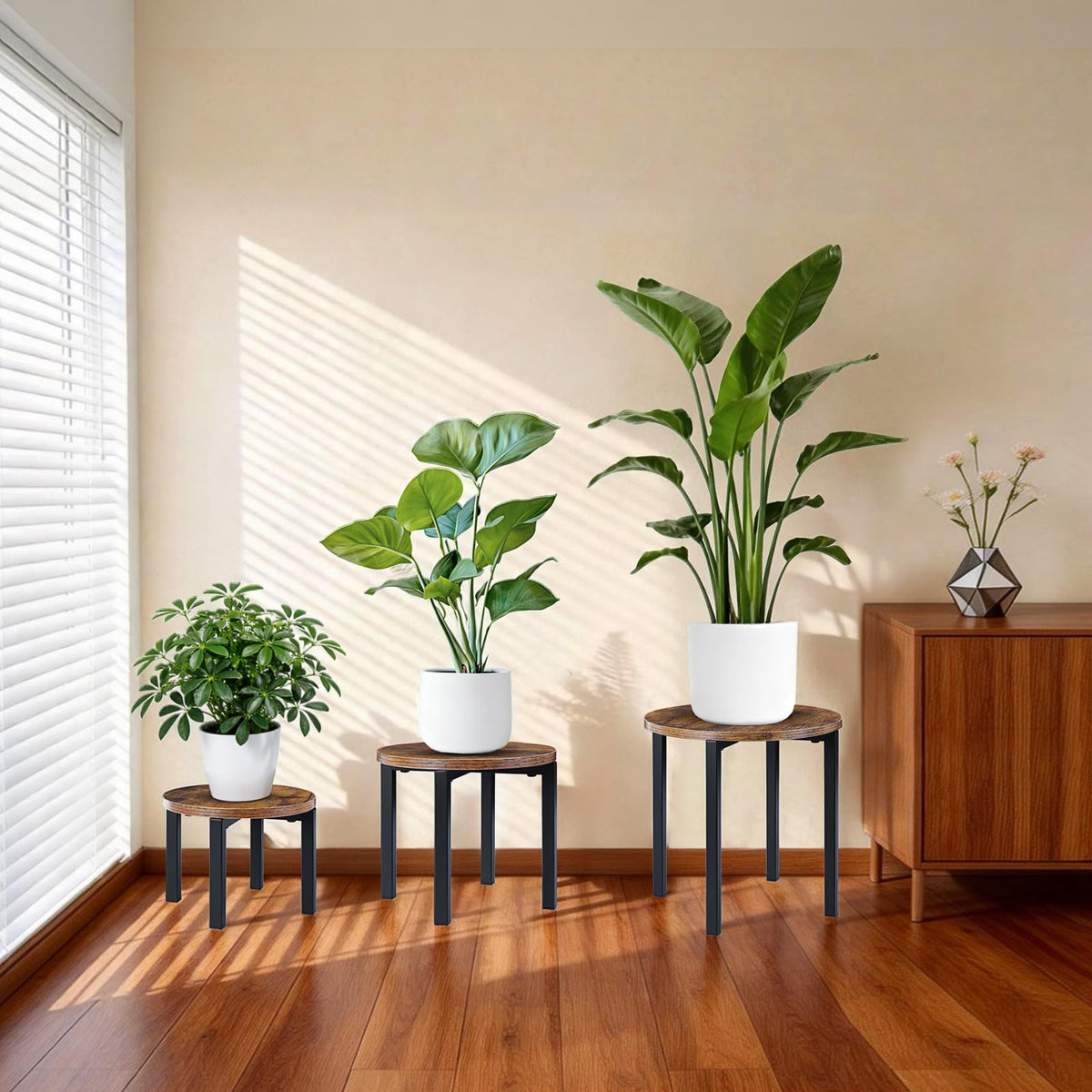 Amaoot stands create a sleek indoor display suitable for living rooms and offices.