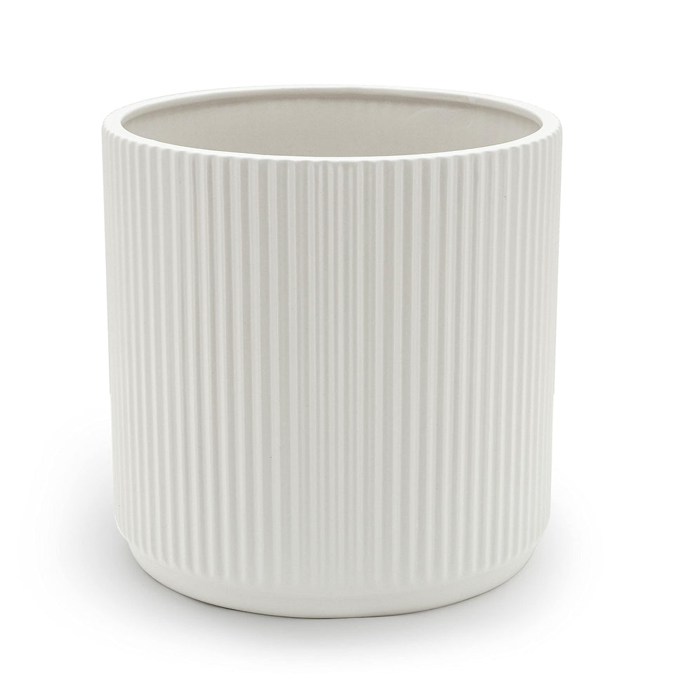 Amazon Basics 8-inch fluted ceramic planter in white, ideal for indoor plants.