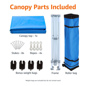 Amazon Basics canopy secure anchoring kit with pegs and weights