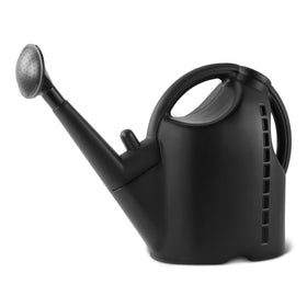 Amazon Basics Watering Can with nozzle dispersion for gentle, even watering.