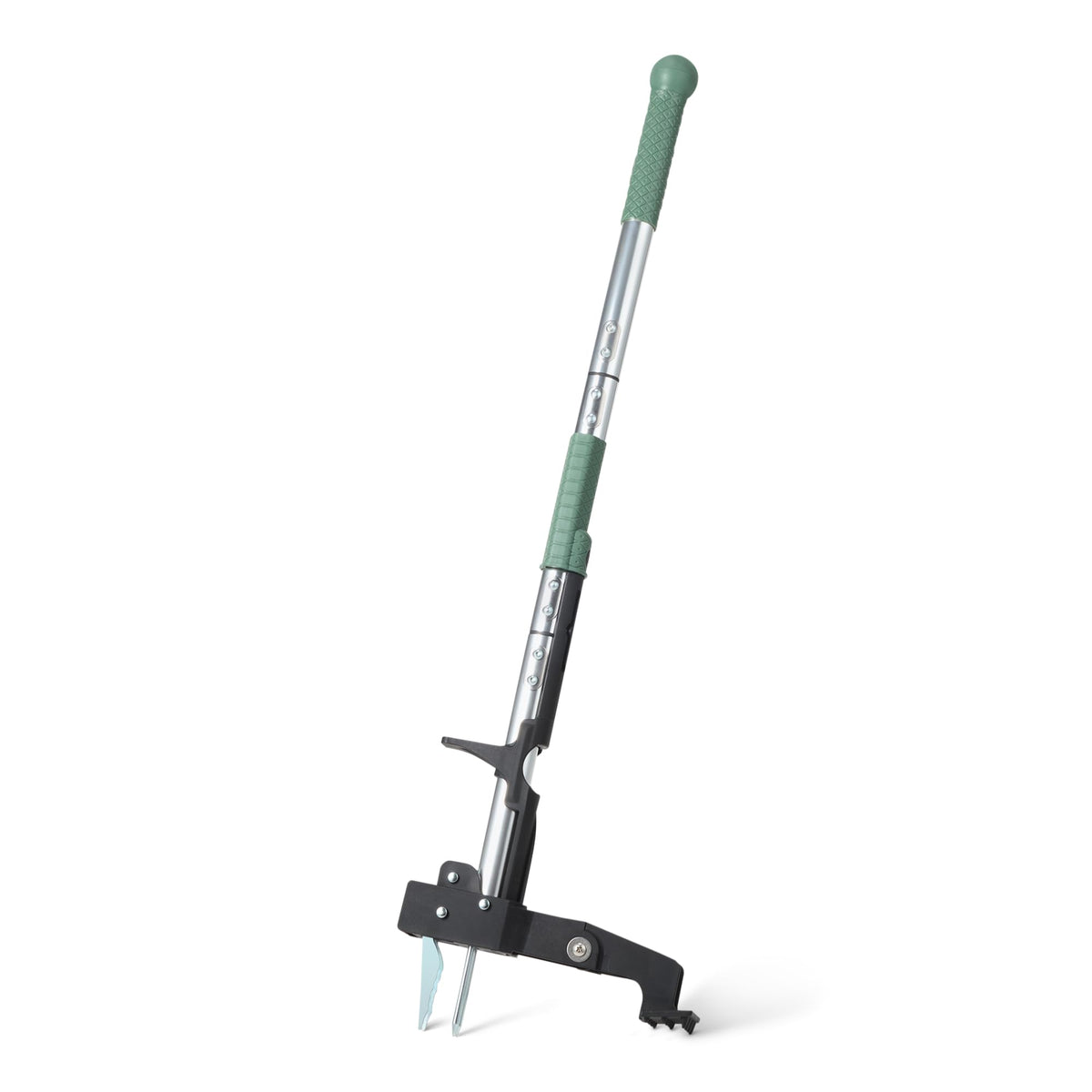 Amazon Basics weed puller with 4-claw head for easy root extraction in gardens.