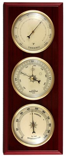 Ambient Weather YG315 dial closeup showing clear readings for easy indoor monitoring