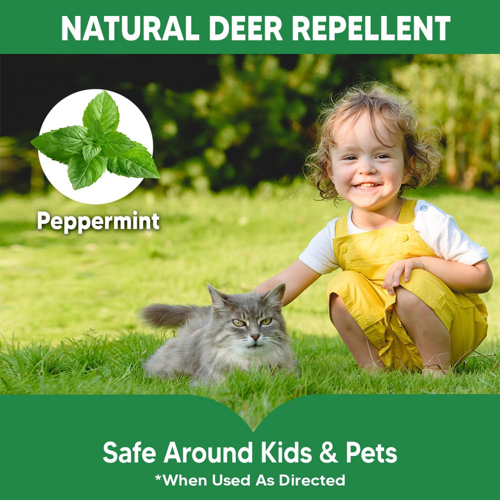 AMDEIUR deer deterrent applied around shrubs for extended protection.