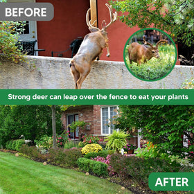 AMDEIUR deer repellent granules in the yard deterring wildlife safely