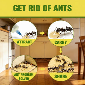 AMDEIUR kitchen and bathroom protection areas keep surfaces clearer.