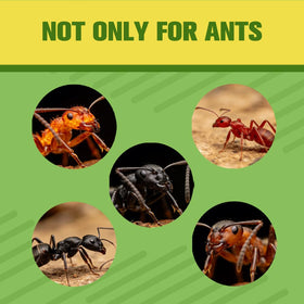 AMDEIUR safety-friendly formula illustrating use around people, pets, and plants.