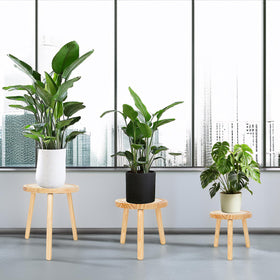 Amdermi space-saving corner placement ideal for small rooms.