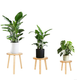 Amdermi three-pack wood plant stands indoors trio enhances decor and plant displays.