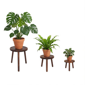 Amdermi wood plant stand 11in offers stable display for tall indoor plants.