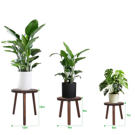 Amdermi wood plant stand 7-9in showcases compact plants with space-saving design.